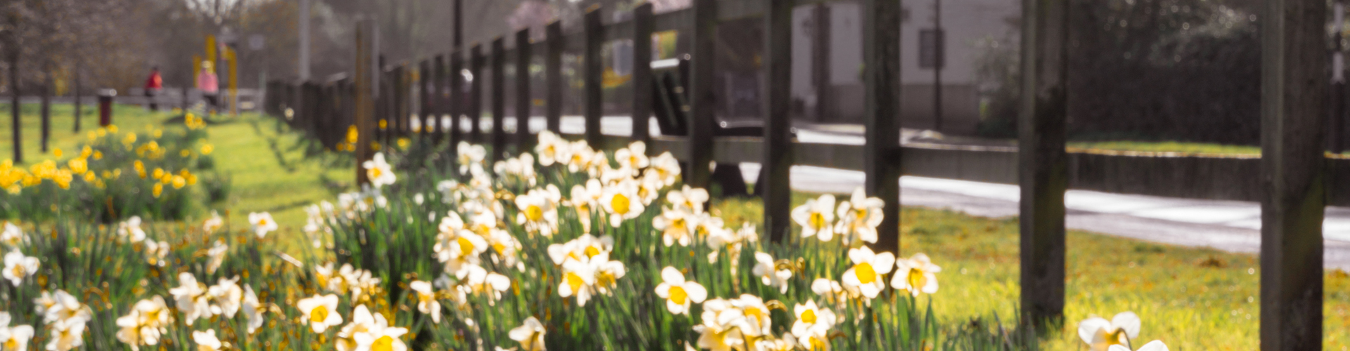 Roads and fences in Mortimer